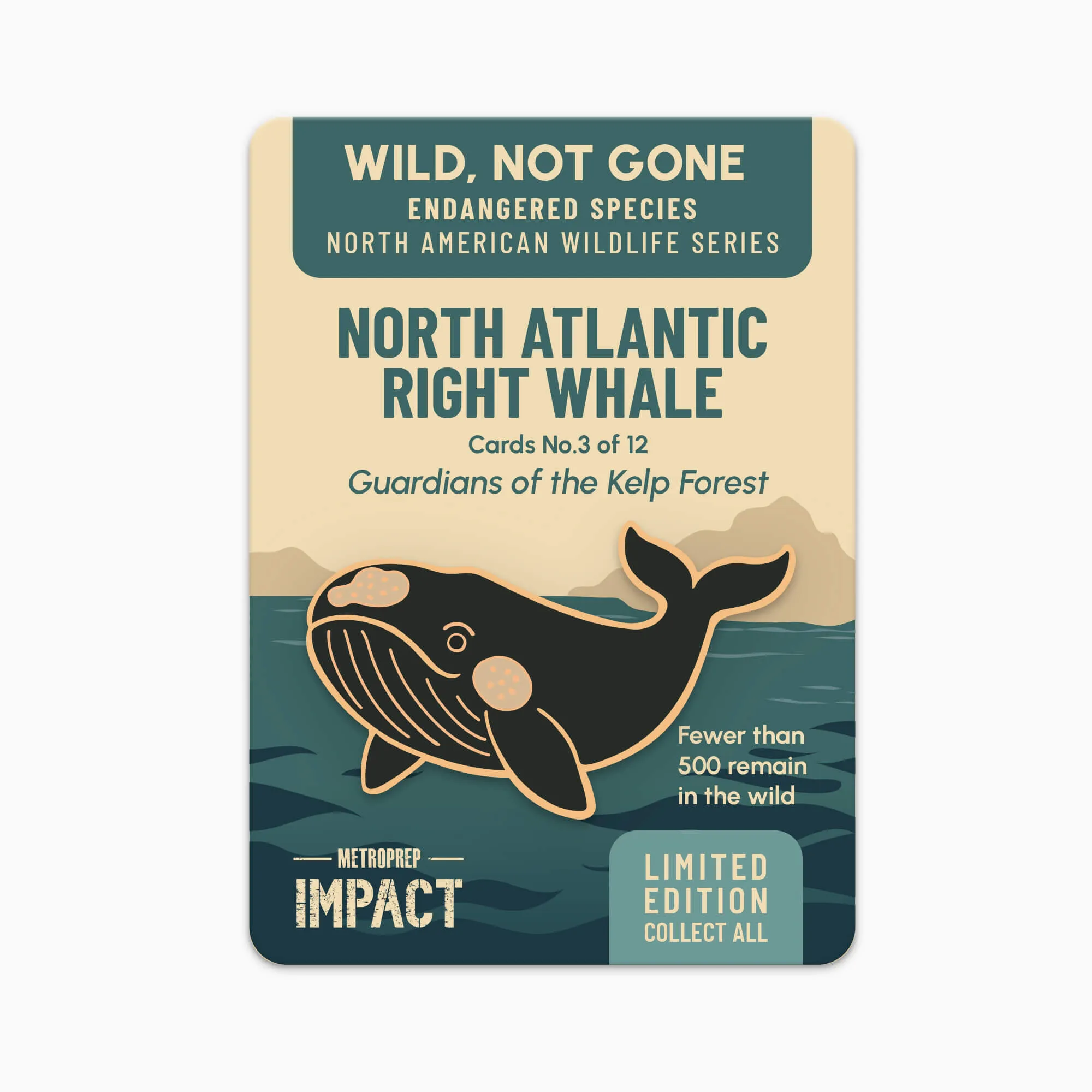 North Atlantic Right Whale pin